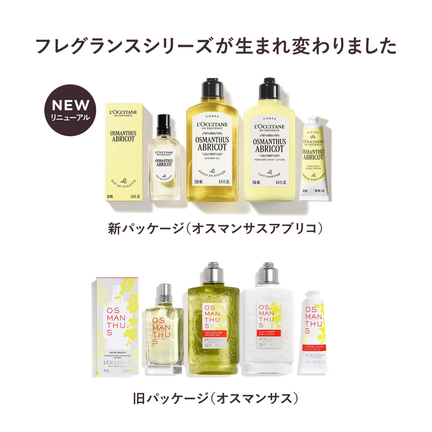 ロクシタン オスマンサス ボディミルクサムネイル7