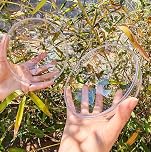 YOZIEMQ Acrylic hollow ball, Clear Plastic Fillable Ornaments Ball, DIY Clear Plastic Balls for New Years Present,Xmas Tree,Home Decoration,Wedding,Party (14cm/5.51inch，5PCS)