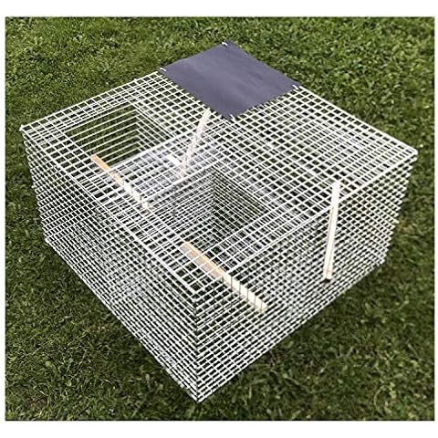 TrapMan Larsen Trap UK Made, 2x Top entry catching compartments 1x Decoy compartment, Folding, easy to assemble, Magpie trap, Crow trap, Corvid trap, Hand made in the UK Store Cover