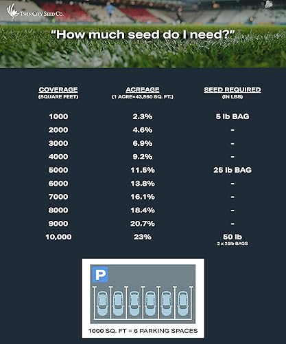 Miniatura 5 de Tuff Turf, festuca alta y pasto azul de Kentucky, de pleno sol a sombra más pesada, ideal para zonas de tráfico superior, bolsa de 5 libras