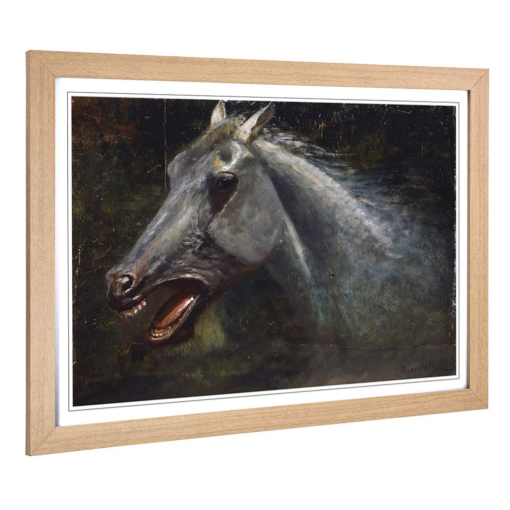 Big Box Art Framed Print of Albert Bierstadt A Wild Stallion Design | Wall Art Picture | Home Decor for Kitchen, Living Room, Bedroom, Hallway, Oak, A2 / 24.5x18 Inch / 62x45cm