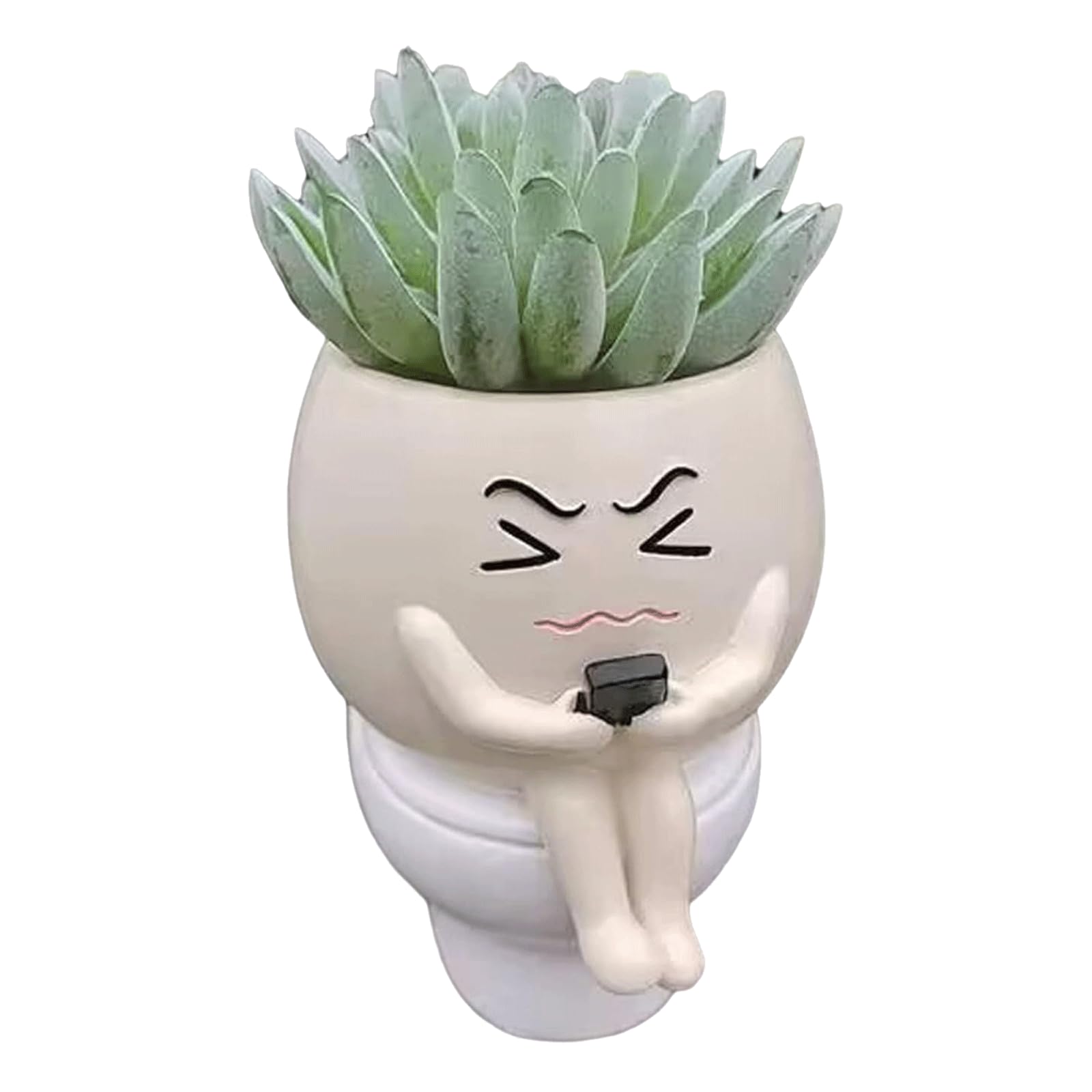 Pots de fleurs amusants pour plantes d'intérieur sur étagère de salon