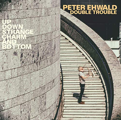 Up,Down,Strange,Charm And B