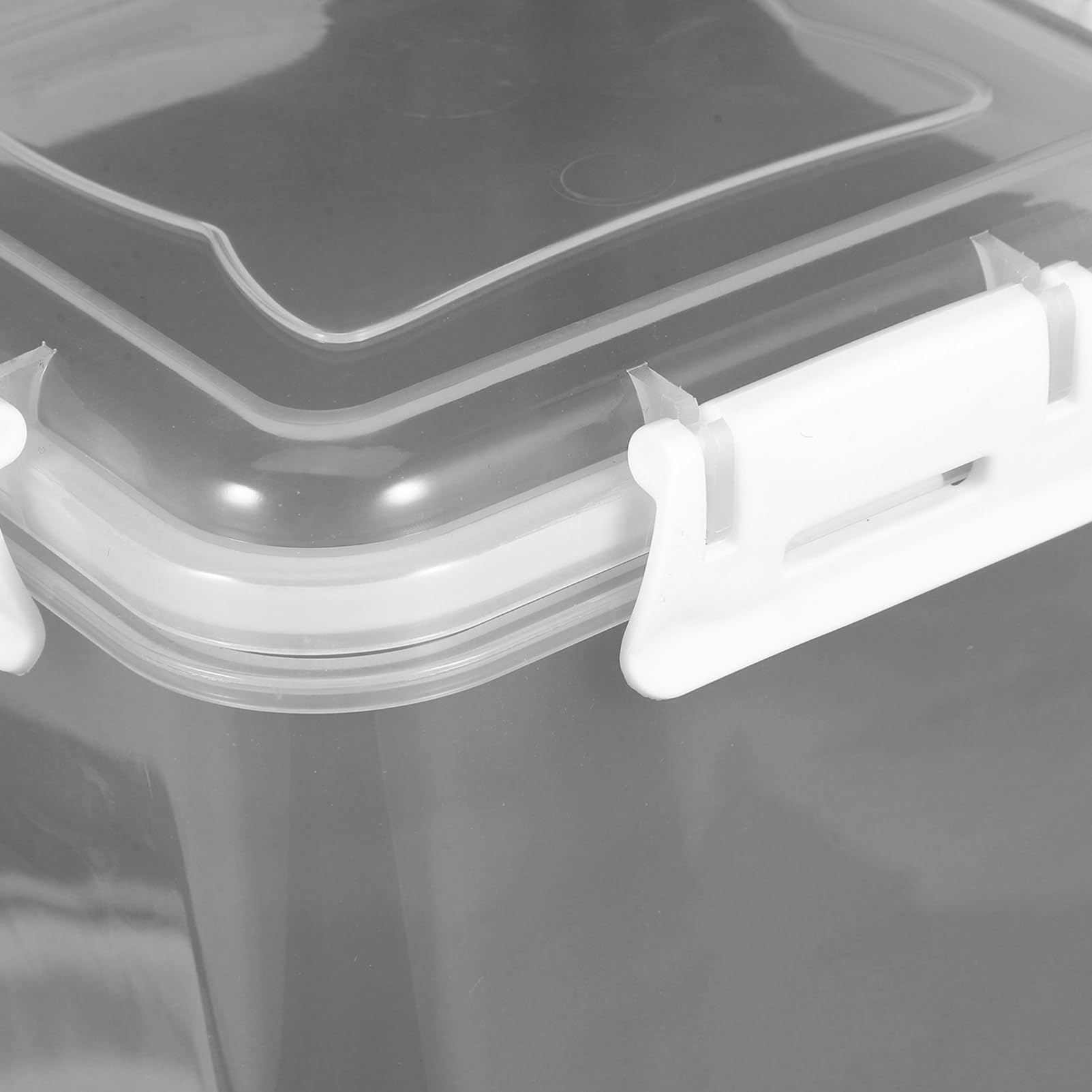 KLIPPKAKTUS Boîte Conservation Pr Réfrigérateur, Transparent