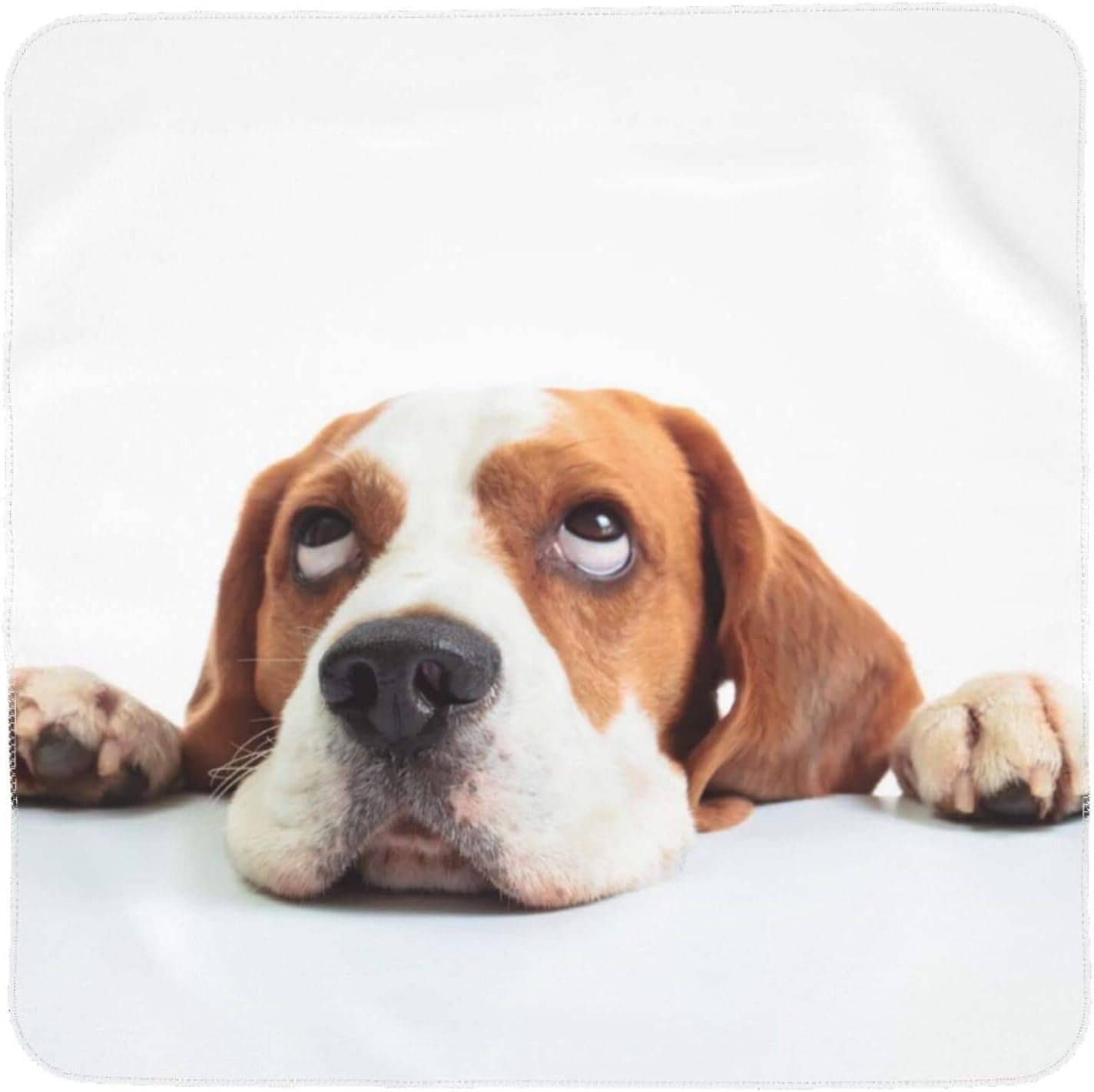 Amazon 見上げてるビーグル おくるみ ベビーブランケット ベビーバスタオル 毛布 授乳ケープ 赤ちゃん ベビー用品 吸水性 瞬間乾き 敏感肌適合 柔らかく 新生児 スワドル 出産祝い おくるみ ベビー マタニティ 通販