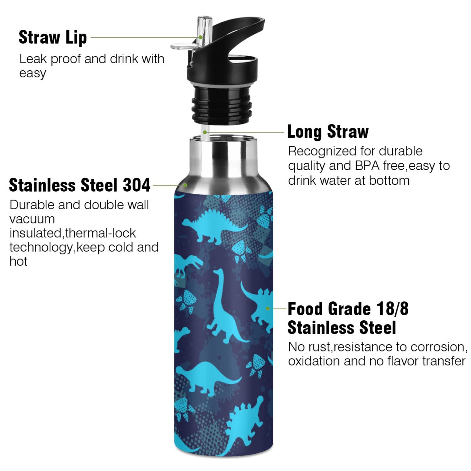 Qilmy Sport Water Bottle with Straw Lid Vacuum Insulated Stainless Steel Thermo Flask Dinosaur Water Bottle 20 oz