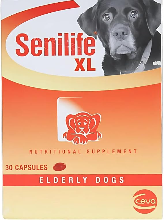 Supplement Capsules for Elderly Dogs