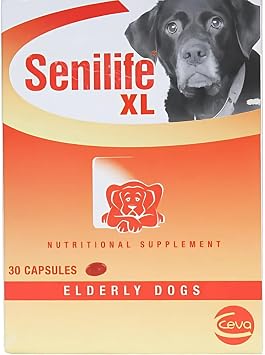 Supplement Capsules for Elderly Dogs