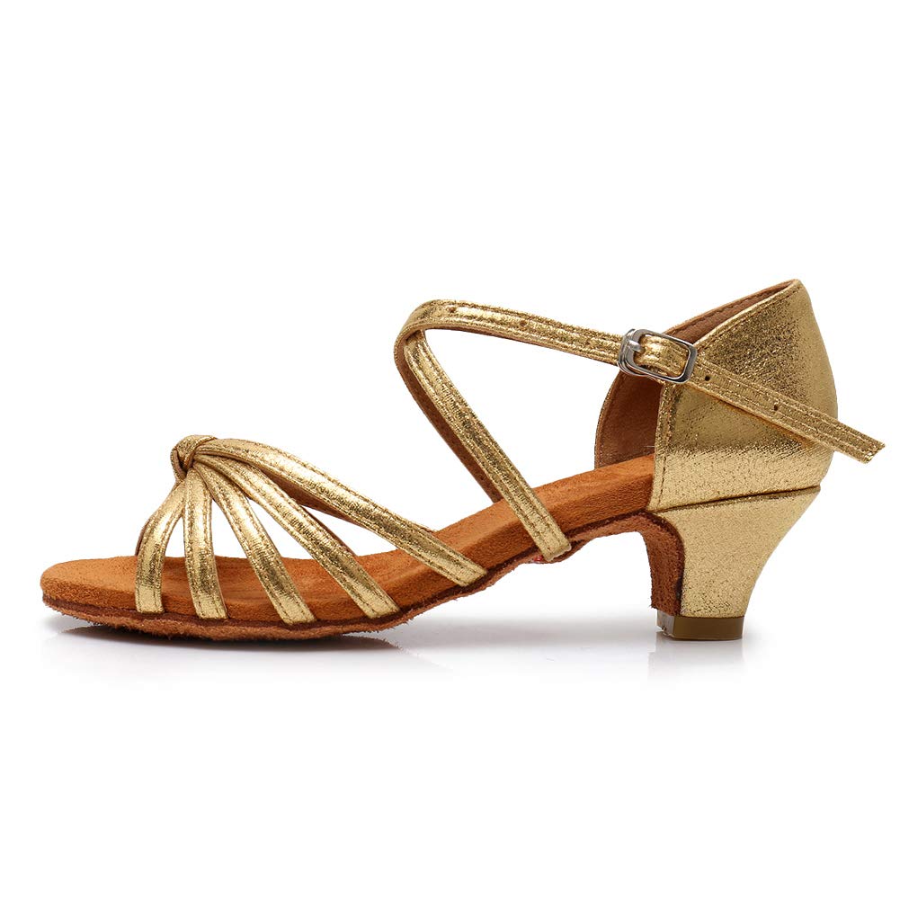 HIPPOSEUS Girls' Standard Latin Dance Shoes Gold Low Heel Salsa Ballroom Cha Cha Shoes,1 M US Little Kid