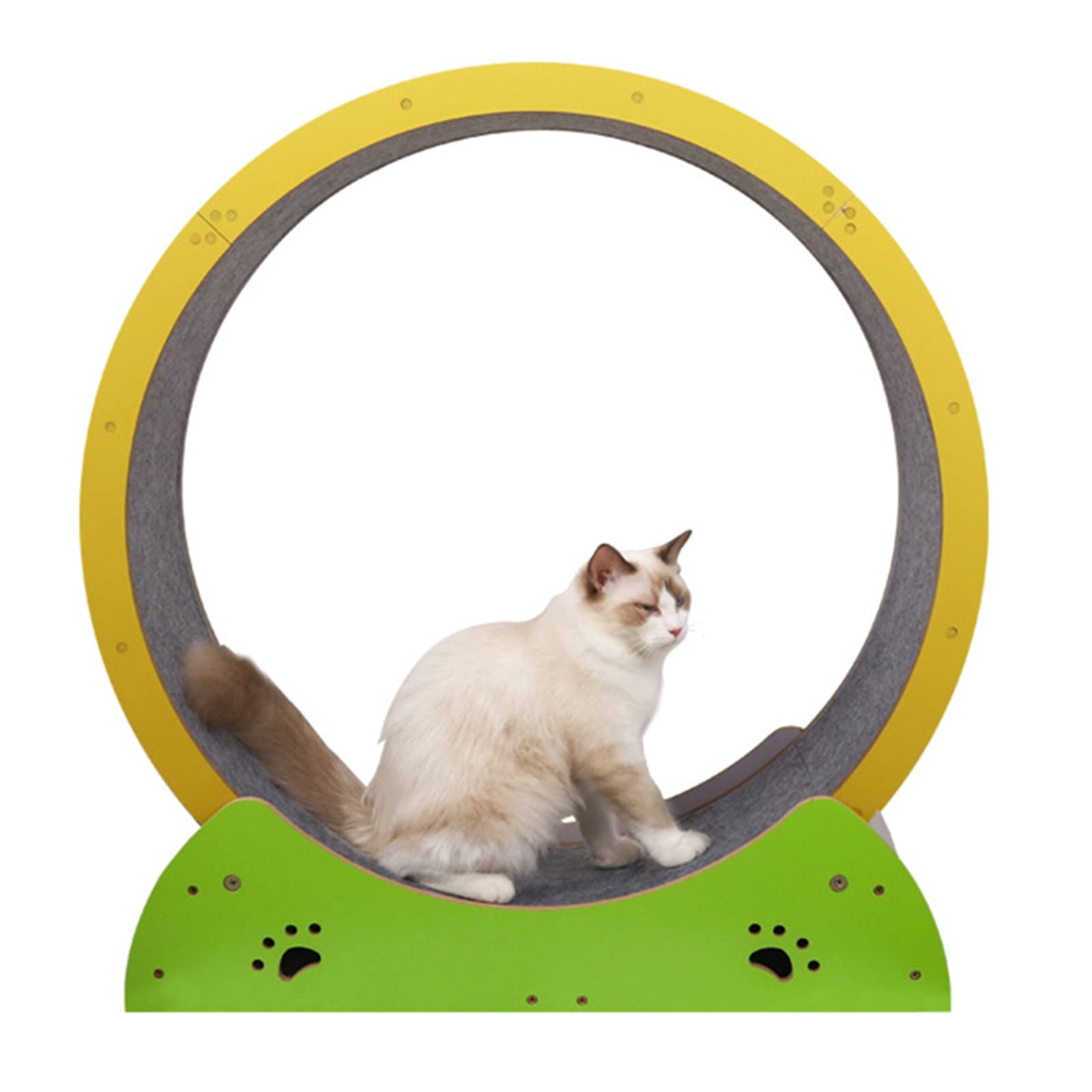 Amazon | 猫ミュートエクササイズホイールトレッドミル、屋内ペット猫 Amazon | 猫ミュートエクササイズホイールトレッドミル、屋内ペット猫