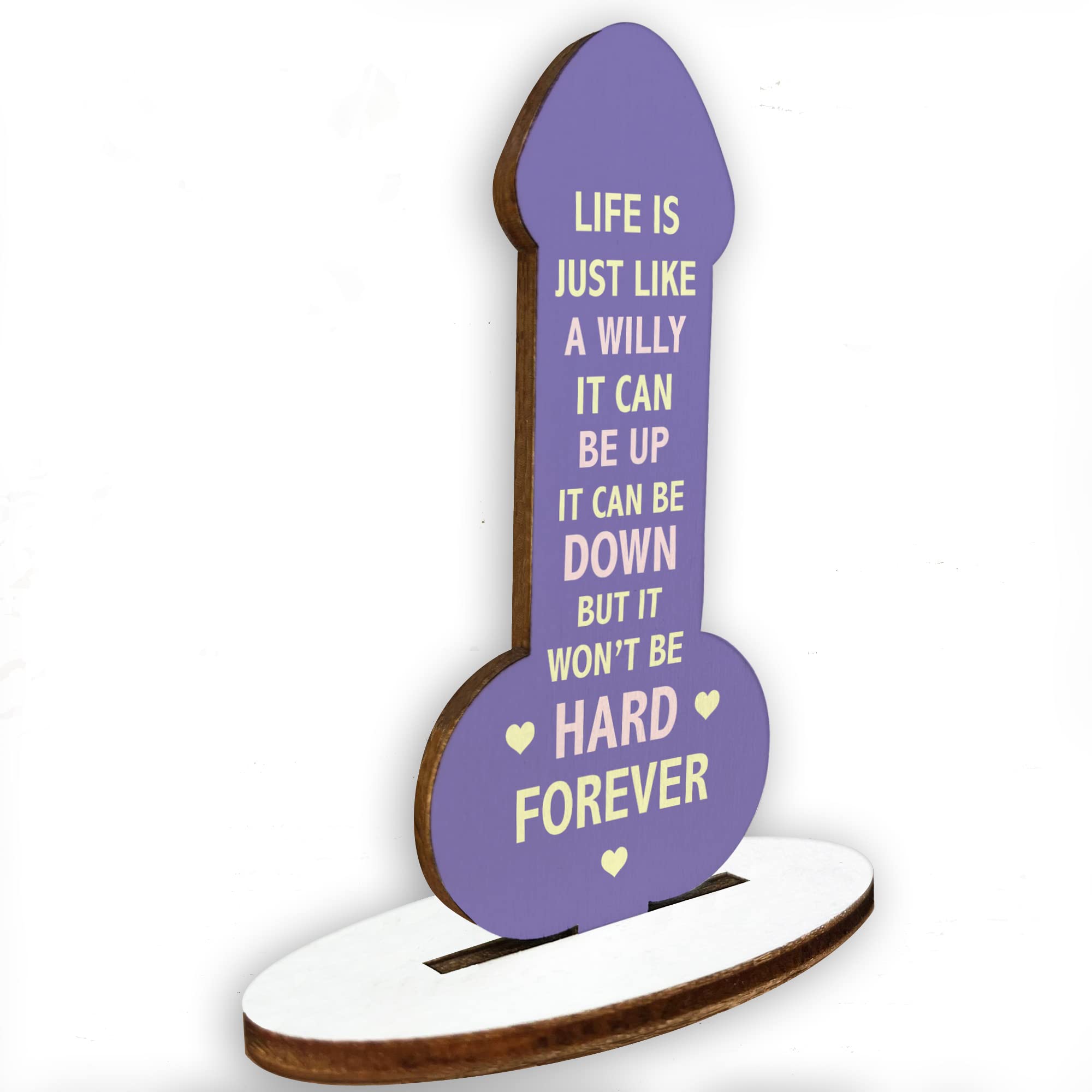 Red Ocean Funny Friendship Plaque Wood Plaque Novelty Birthday Gift For Best Friend Motivational Gift