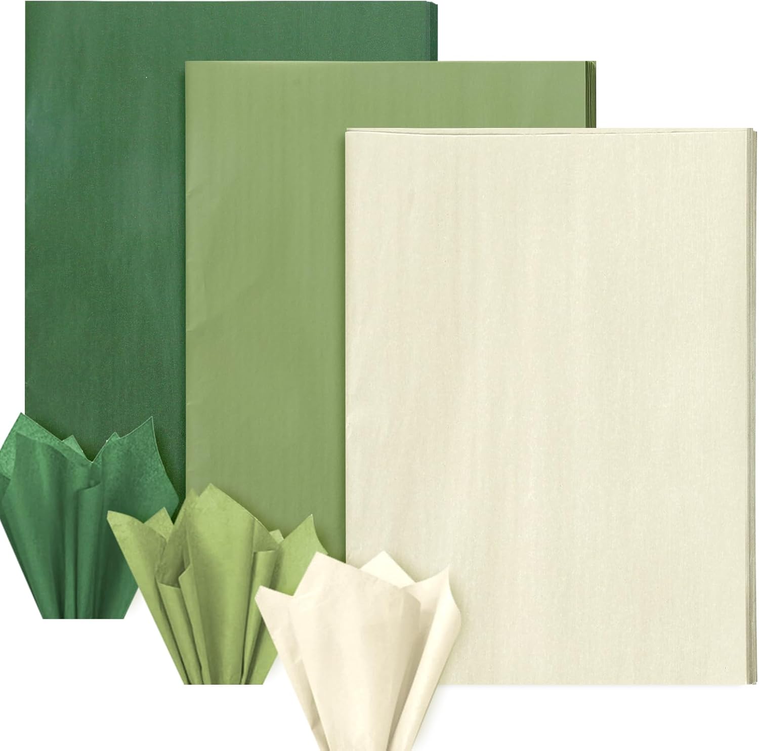 Amazon.com: Whaline 90 Sheet Sage Gradient Green and Ivory Tissue Paper ...