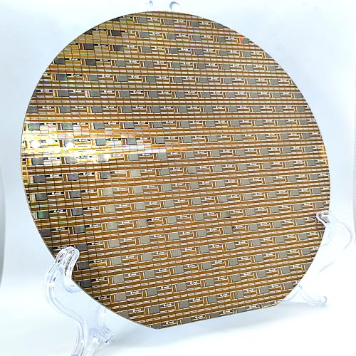 ̃EFn[ 6C` Silicon Wafer (No.10)