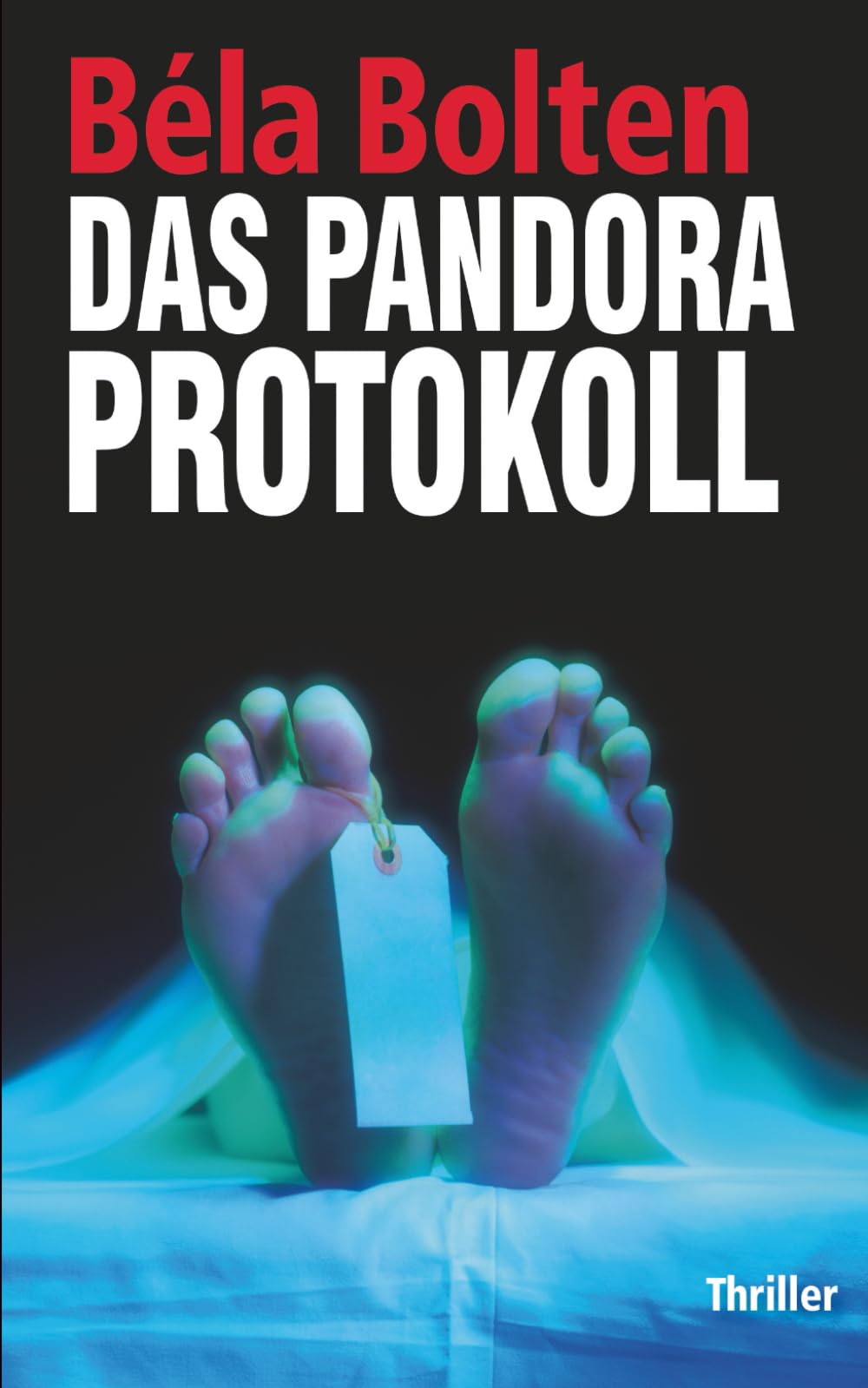 Das Pandora Protokoll (Berg und Thal ermitteln)
