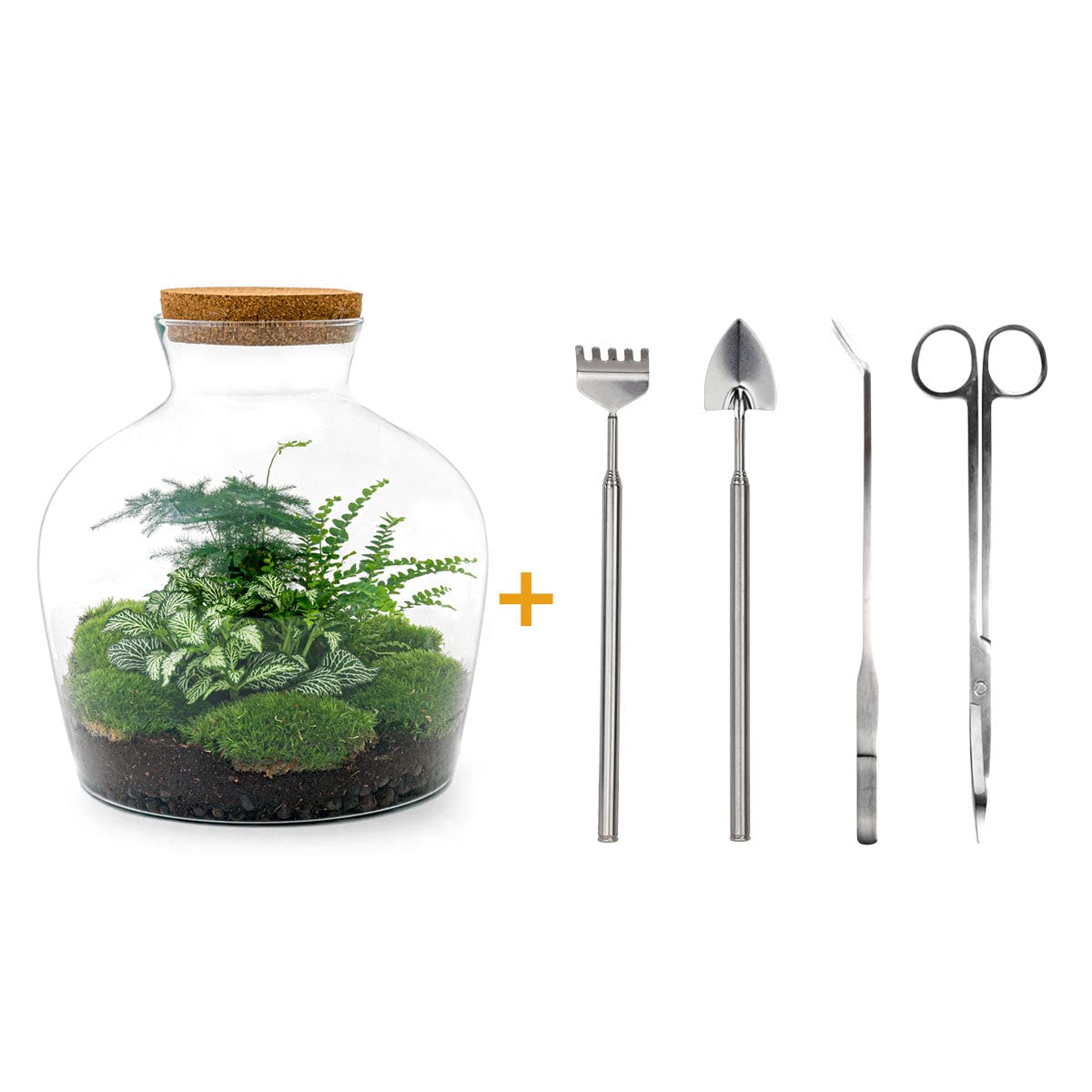 Ogród butelkowy • Fat Joe Green • Rośliny w szkle • ^ 30 cm - DIY - Terrarium Kompletny zestaw - Terrarium - urbanjngl | Zestaw do terrarium