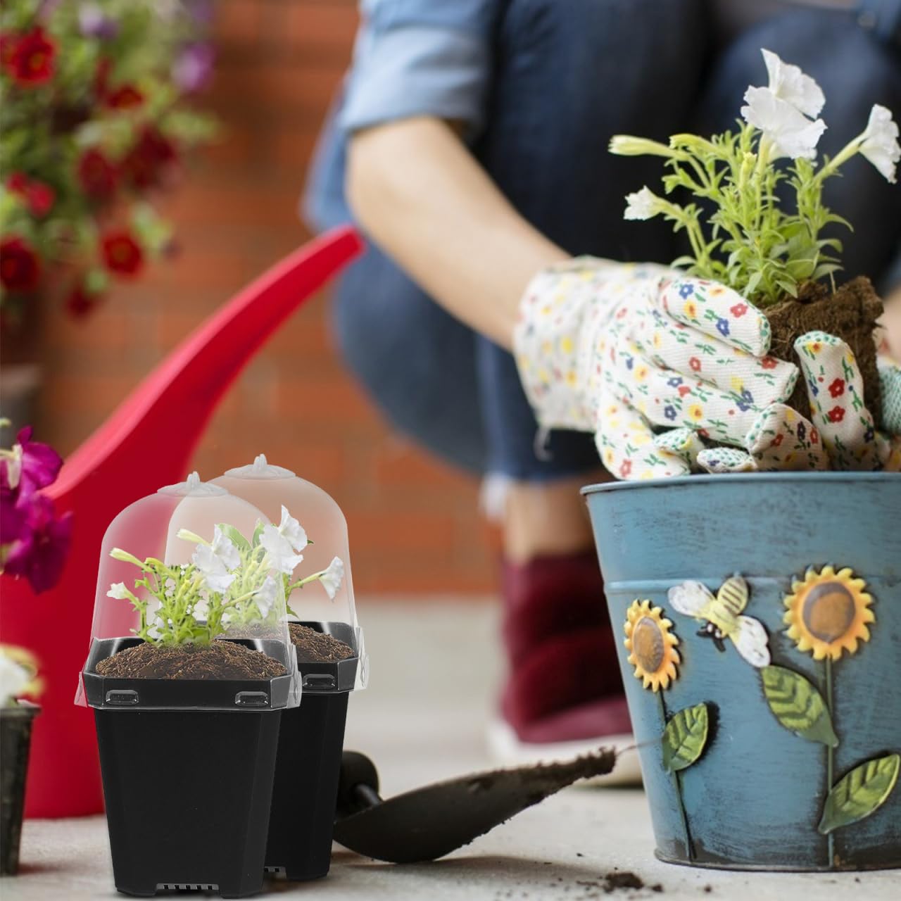 Juego de 10 Mini maceteros para Interior, con Tapa para Cactus, Plantas suculentas, alféizar de la Ventana, Invernadero, de plástico, para Plantas, sembrado y Hierbas ()