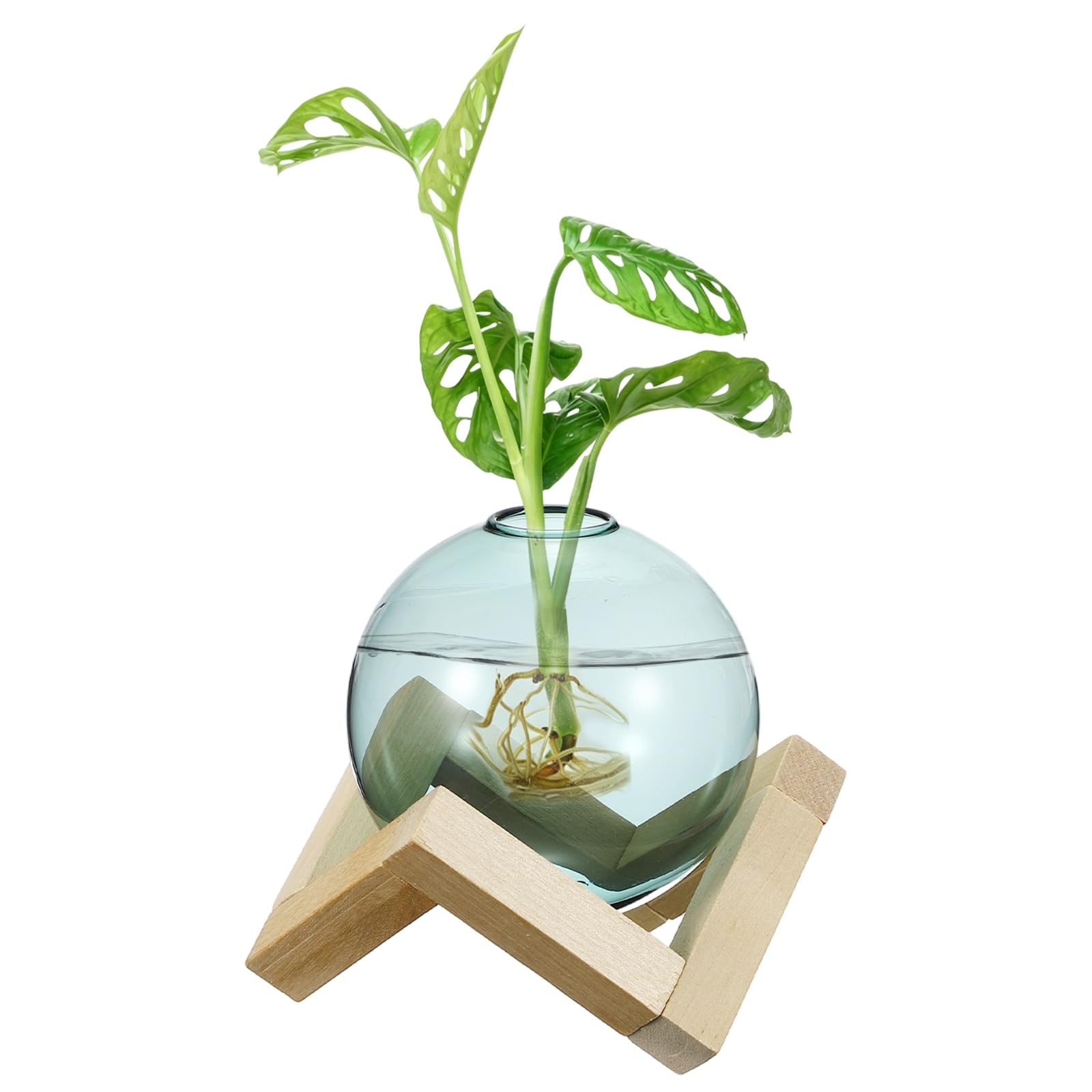 M METERXITY 1 Pack Glass Planter Terrarium with Wooden Stand, Desktop Plant Propagation Station Bulb Vase for Hydroponic Plants Propagation/Home Garden Decor/Plant Lover [Green] — image 1