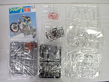 レア アジアアロワナ プラタパット 31冊とおまけ FLIP&DRAW I -2LP