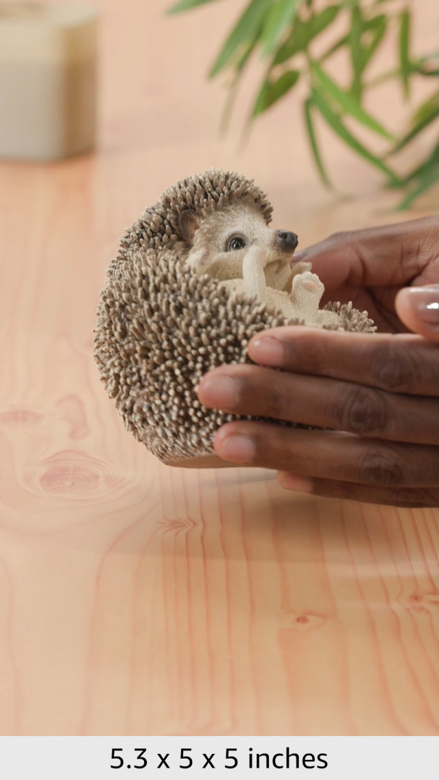 Amazon.com: Hi-Line Gift Ltd Hedgehog on Back Statue : Patio, Lawn