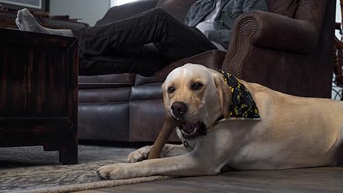 Vista 6 de Hero - Hueso de fémur Bonetics - Huesos de perro - Huesos de cachorro - Diseñado para perros extra grandes de hasta 75 libras (sabor bacón)