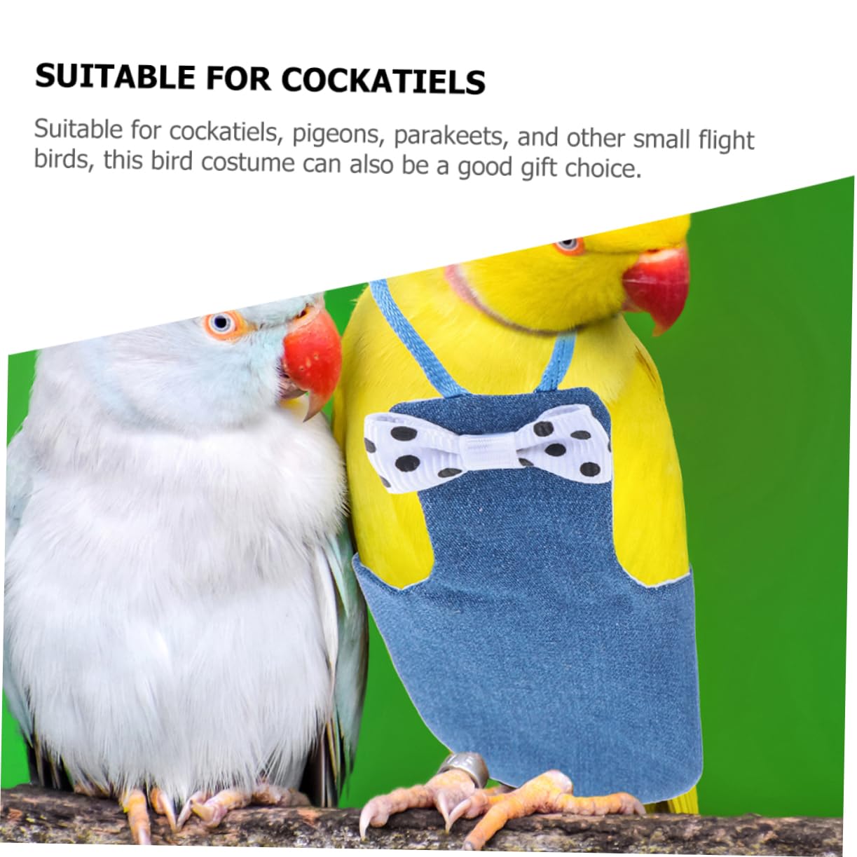 Amazon.co.jp: ROMISBABA ペット鳥用おむつバードスーツ綿素材mサイズ