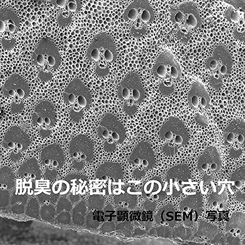 竹炭 脱臭王 靴のにおいとり