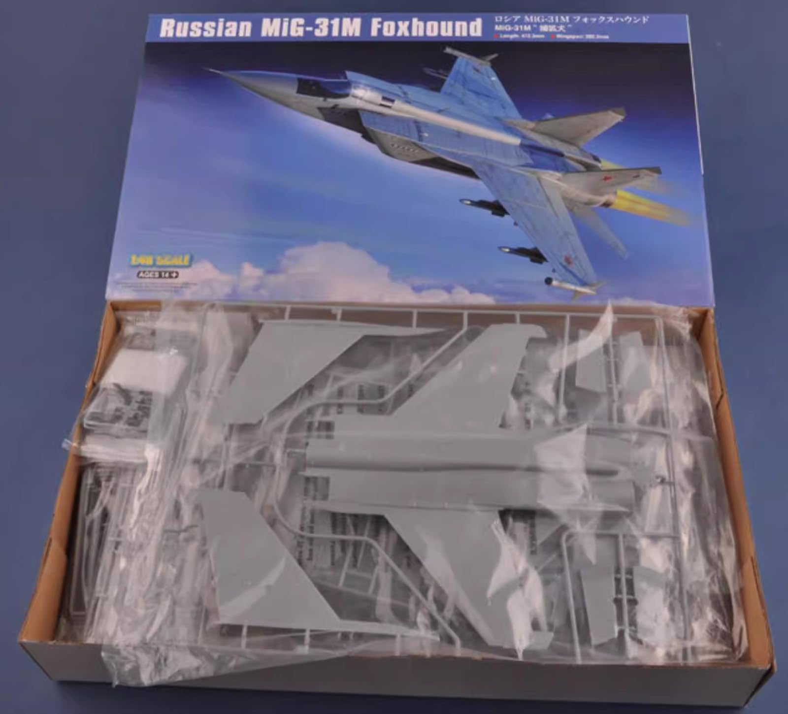 Modellino Aerei da Guerra Model Kits, Russian MiG-31M Foxhound Scala 1/48, Giocattoli e Regali per Adulti, 18.6 x 11Inchs