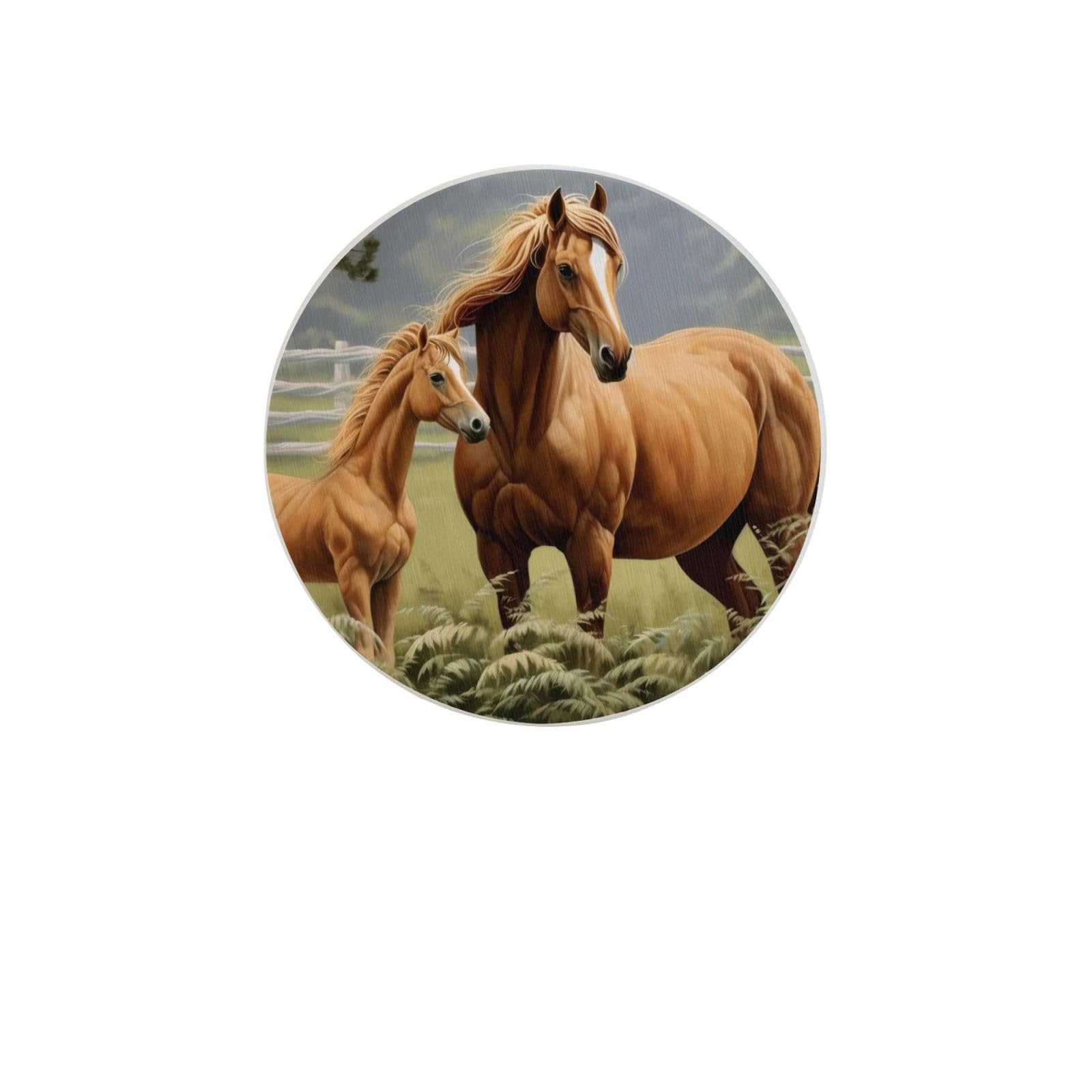 Animals Embroidery Paintings Horses Absorbent Drink Coasters Diatomaceous Round Coaster 4 Inch Reusable Cup Coasters Set 4pc