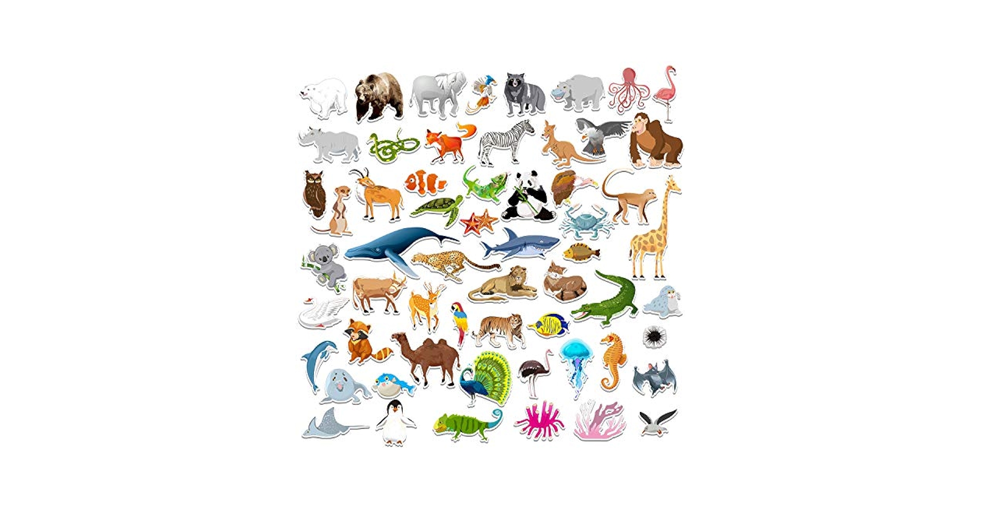 ZOO ページ Amazon.com: SpriteGru 59 PCS Zoo Animal Zoo Magnets for