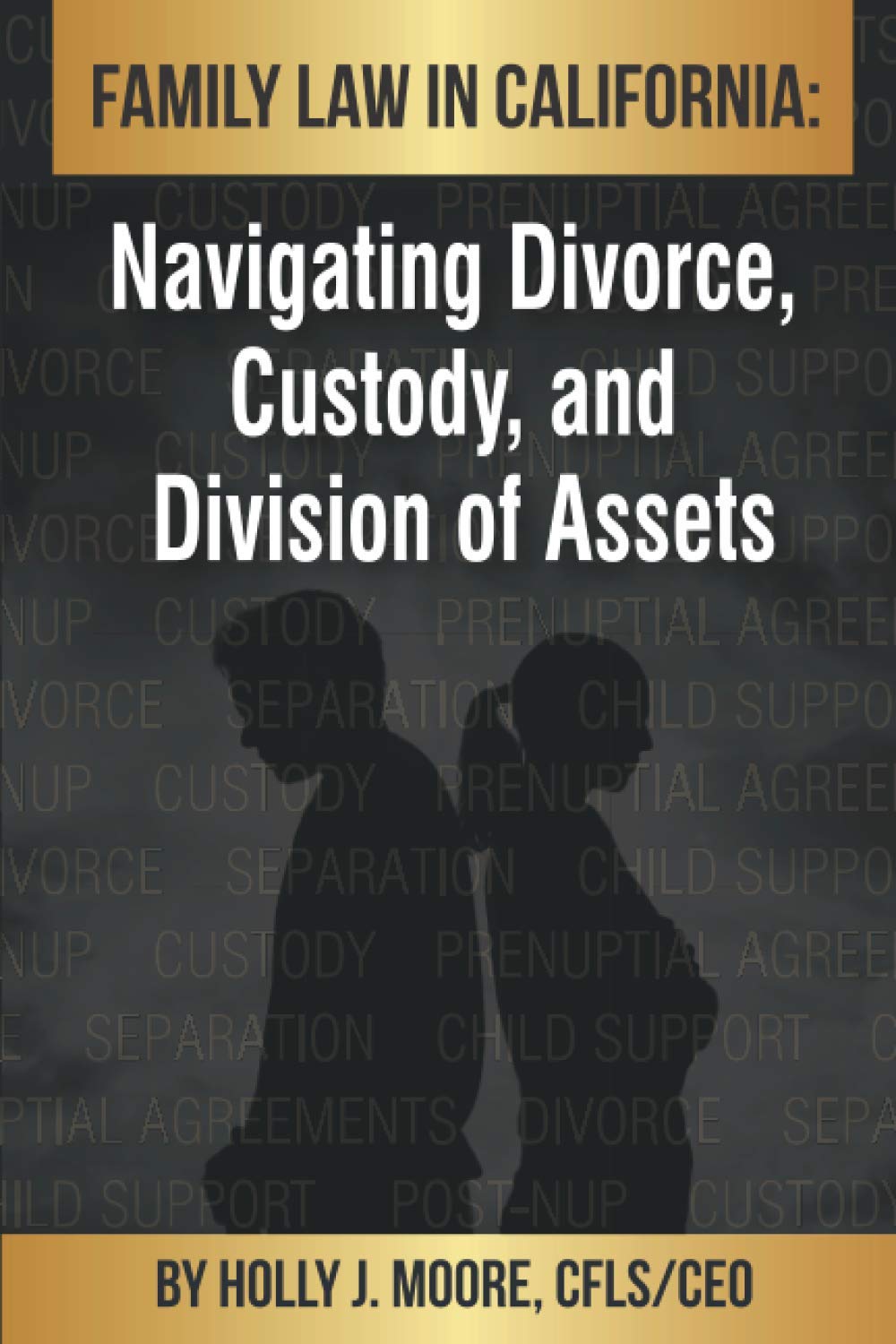 Family Law in California: Navigating Divorce, Custody, and Division of Assets
