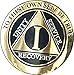 1 Year Elegant Black Gold Silver Bi-Plated AA Medallion Serenity Prayer Chip