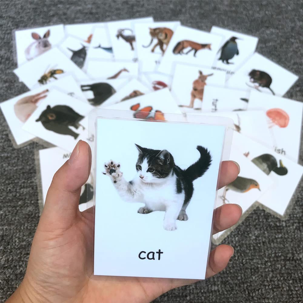 Buy DZOZO Preschool Flash Cards Set 32 pcs Animals/National s Flash