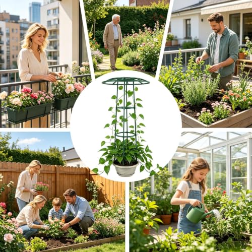 Estructura vegetal para jardín ideal para decorar exteriores con rosales trepadores 5