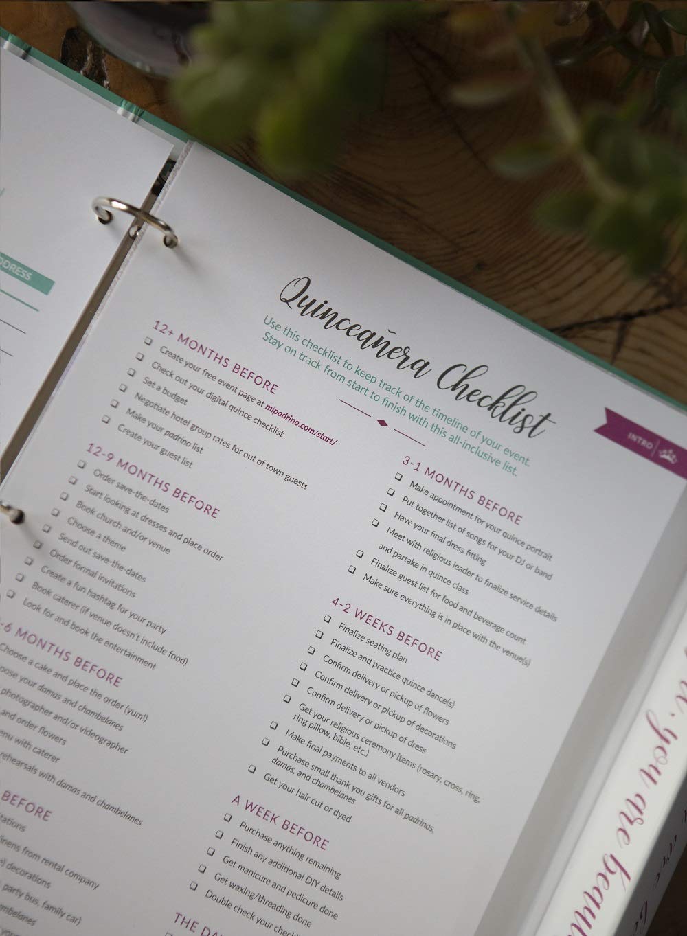 amazon-com-ultimate-quincea-era-planning-guide-by-mi-padrino-quincea-era-planner-quince-planning-book-organizer-quince-a-os-organizador-y-planificador-agenda-para-quincea-eras-office-products for Free Printable Quinceanera Planning Guide Amazon.com : Ultimate Quinceañera Planning Guide by Mi Padrino | Quinceañera Planner | Quince Planning Book & Organizer | Quince Años Organizador y Planificador | Agenda para Quinceañeras : Office Products for Free Printable Quinceanera Planning Guide