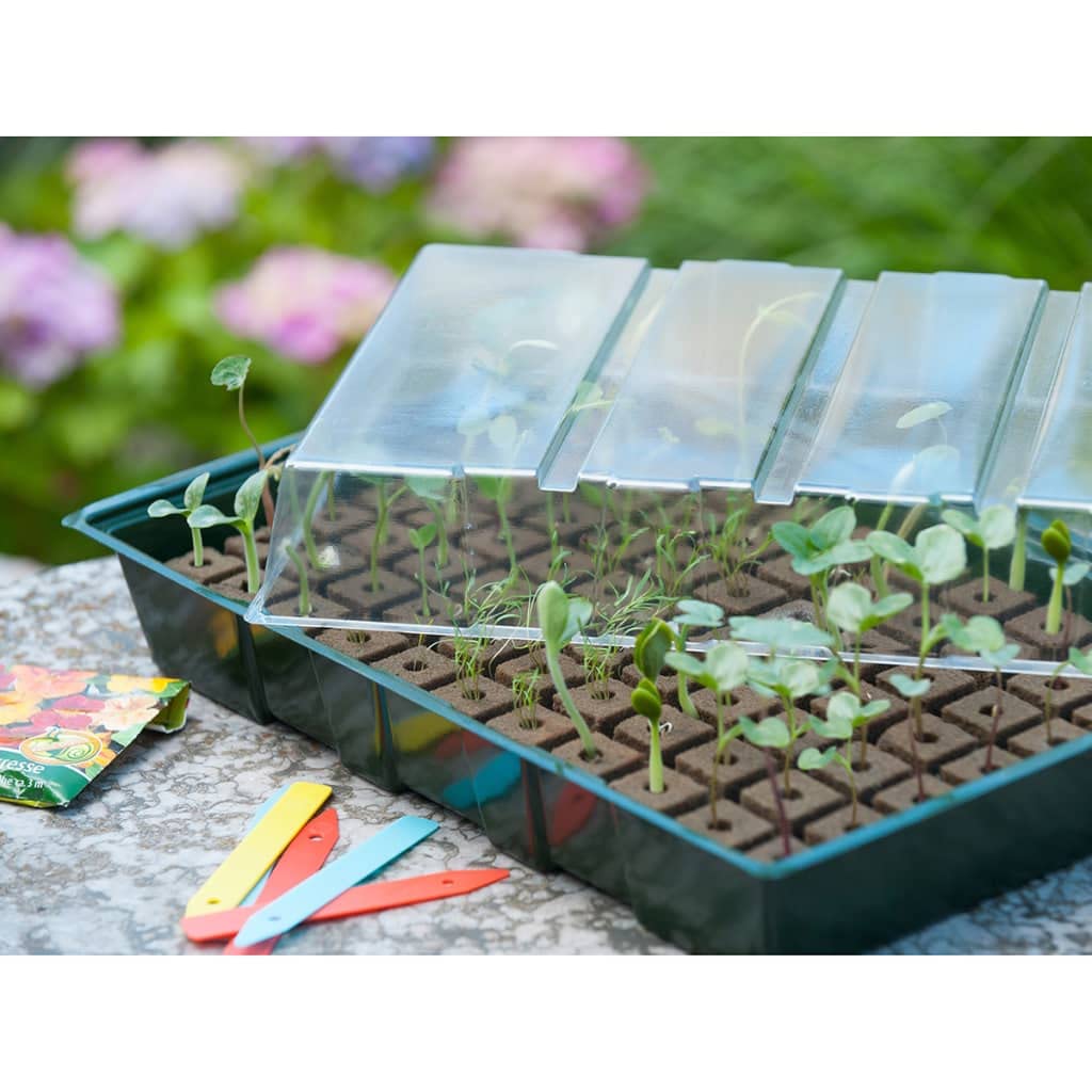 Kits de cultivo de plantas y hierbas - Plantas -Nature Propagator Mini Kit 7x11 células