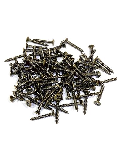 BRASK Stainless Steel SELF Tapping Screws CSK Phillips Head 25 MM X 6 MM (1