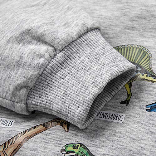 Image of Popshion Toddler Boys Sweatshirts Dinosaur Long Sleeve Pullover Crewneck Shirts Cartoon Tee Sport Tops for Kids 1-8T