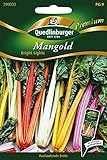 Quedlinburger