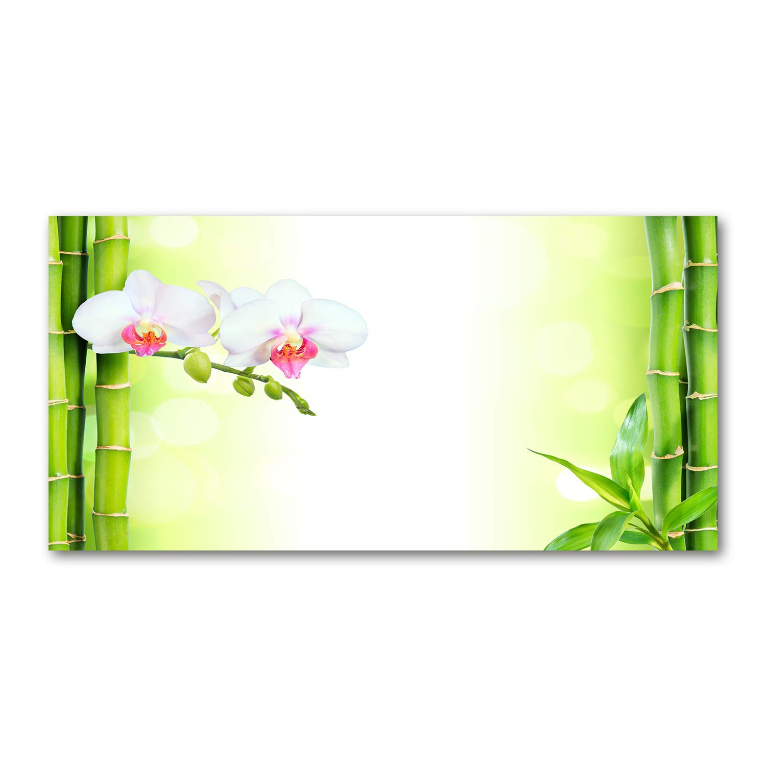 Image verre plastique orchidée bambou déco salon 140x70cm