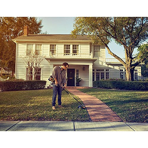 Poulan Pro PPB40T, 14 in. 40-Volt Cordless Straight Shaft String Trimmer