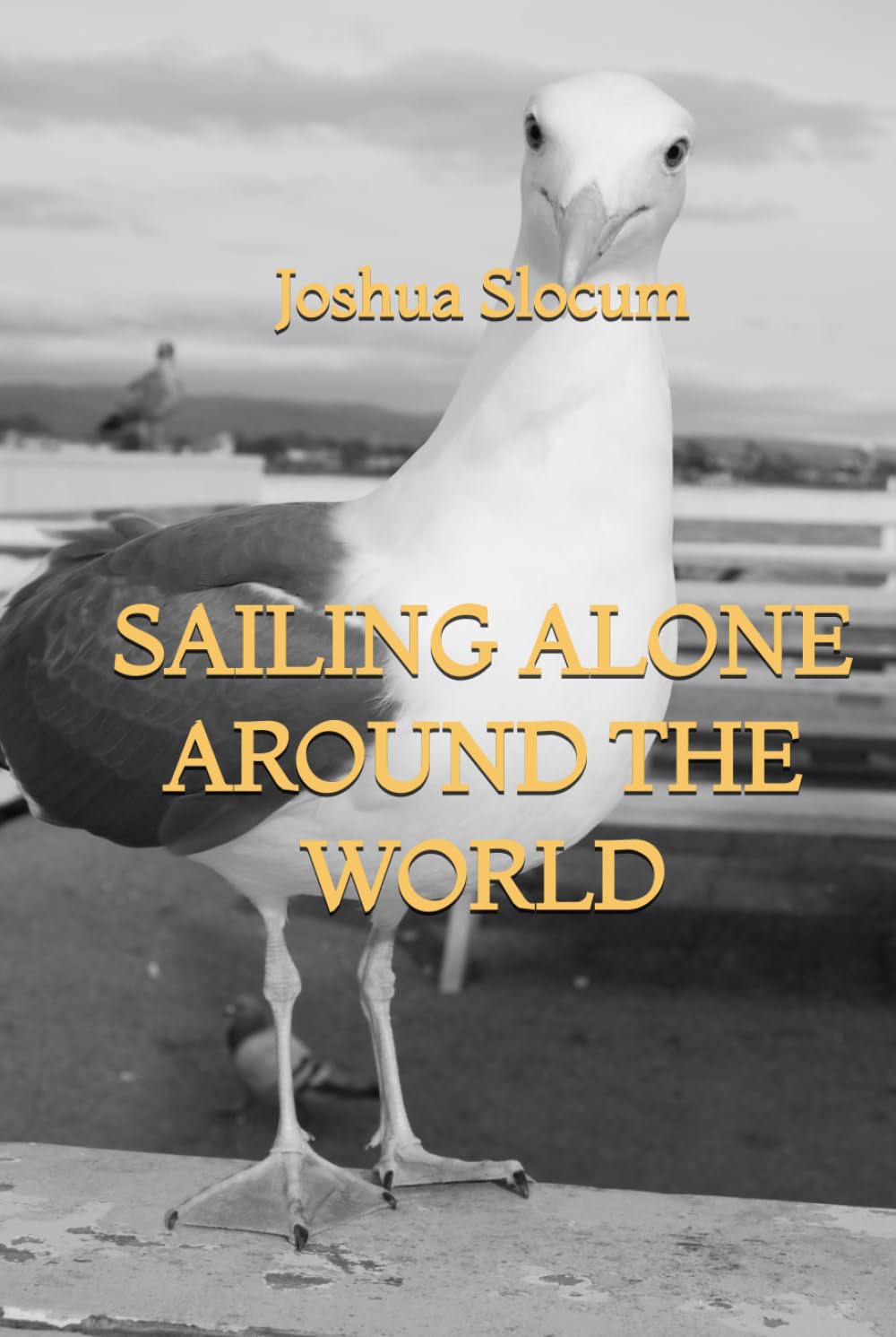 Sailing Alone Around the World