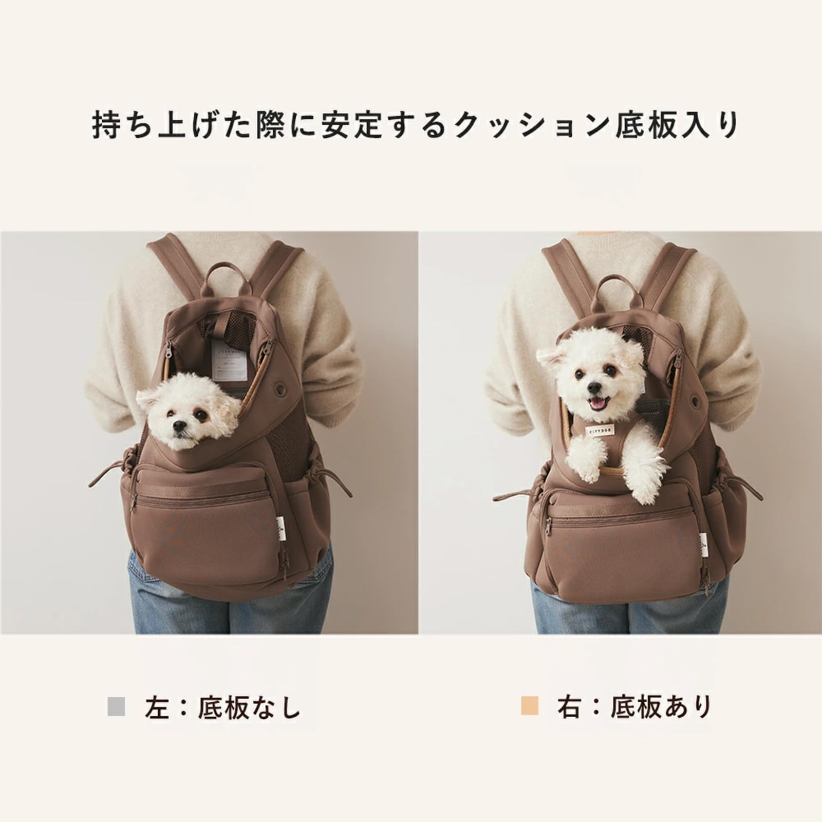 Amazon.co.jp: [citydog] ネオプレーンバックパックキャリー 犬 犬用