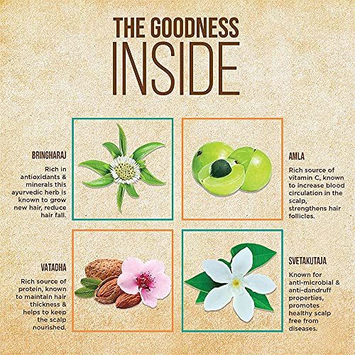 Indulekha-Bringha-Ayurvedic-Hair-Oil-100-ml-Hair-Fall-Control-and-Hair-Growth-with-Bringharaj-Oil-Comb-Applicator-Bottle-for-Men-Women