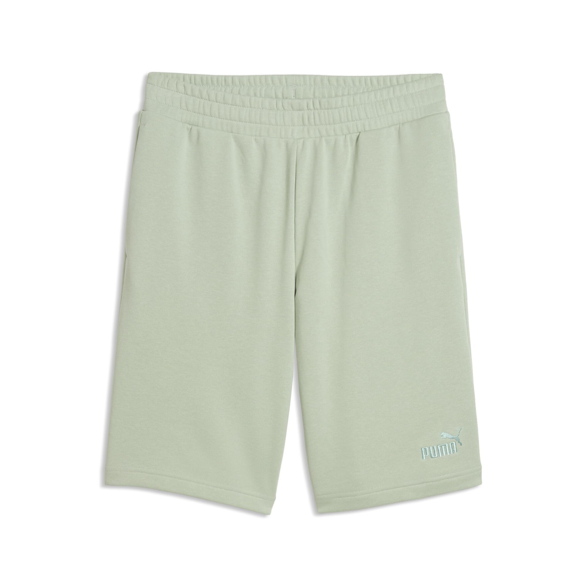 PUMA ESS No. 1 Logo Shorts 10" (s)