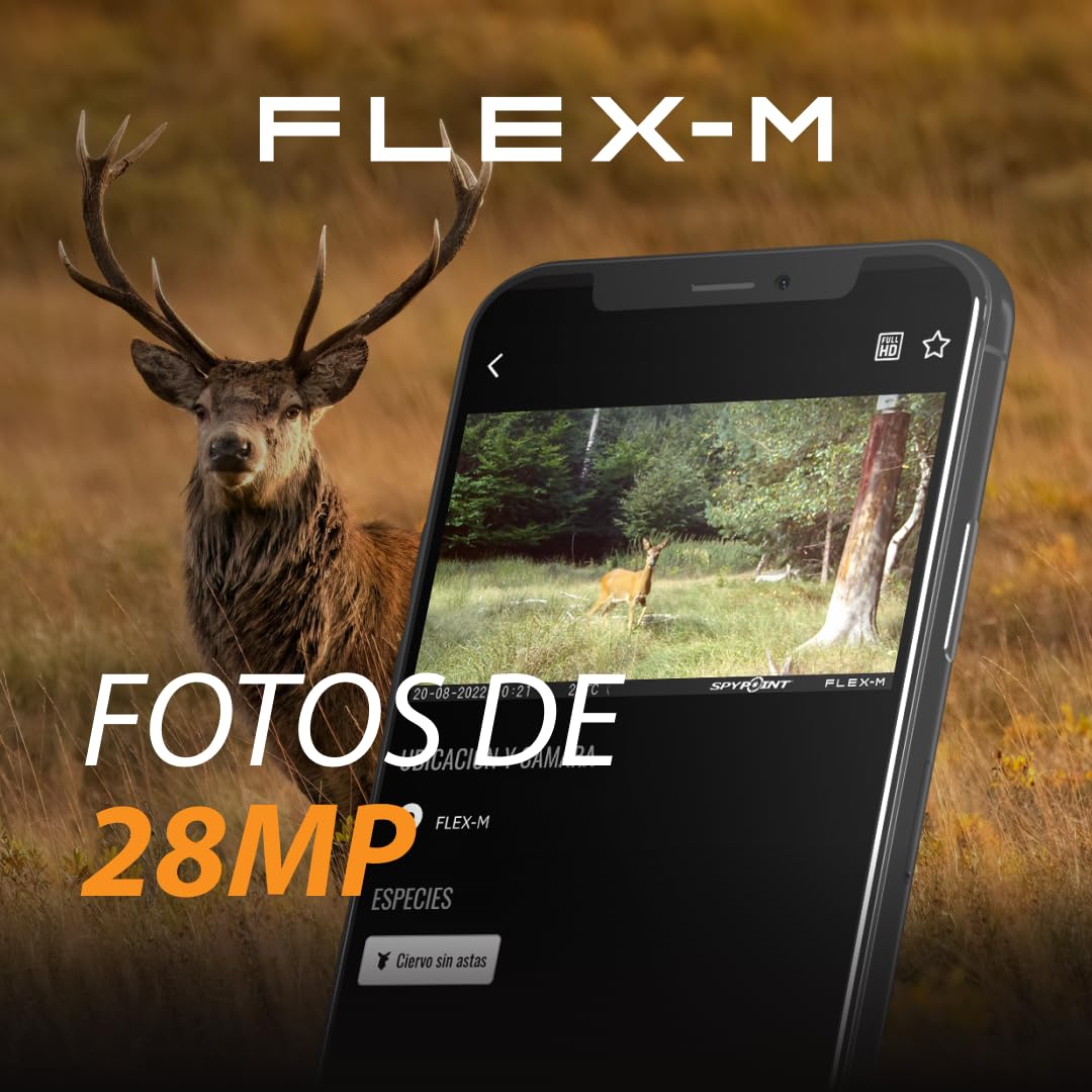 Spypoint Cámaras Celulares Flex-M Paquete Doble - Mejores Accesorios de Exploración, Sin Necesidad de WiFi, Visión Nocturna, Activación por Movimiento, Fotos de 28MP, Vídeos de 720p + Sonido (2)