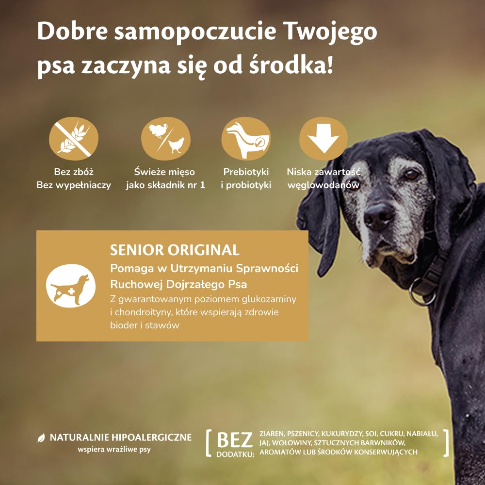 Wellness CORE Senior 10 kg, Kurczak i Indyk – Sucha Karma dla Psów Starszych od 7 Lat, Bezzbożowa, Naturalna, Hipoalergiczna, o Wysokiej Zawartości Mięsa, Wspiera Zdrowie Bioder i Stawów