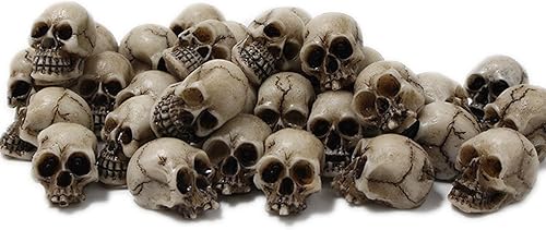 20 piezas de mini cabezas de calavera para decoración de Halloween, adornos realistas de cabezas de calaveras, figuras en miniatura, esqueleto