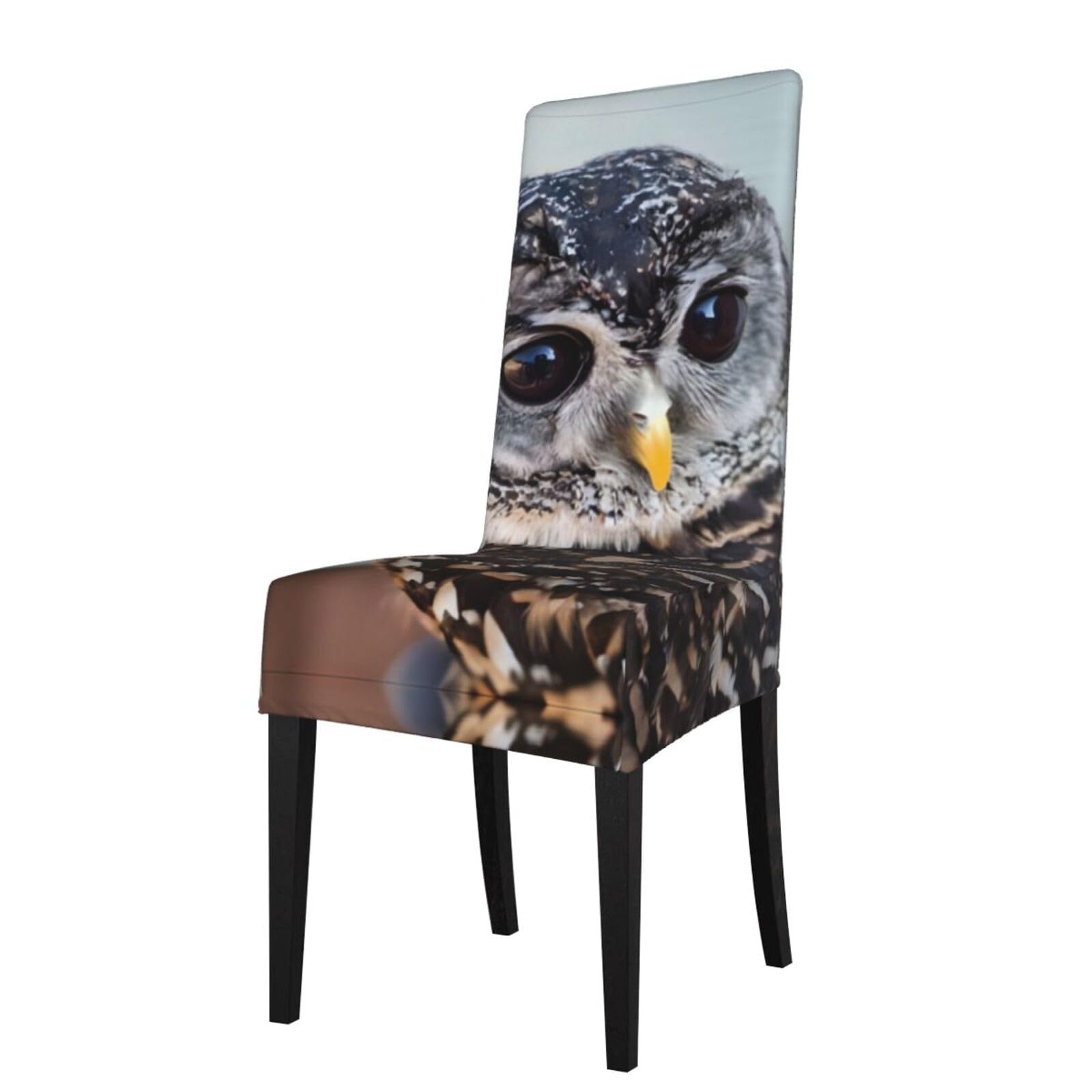 HLSBSSL Cute Owl Printed dining chair covers, wrinkle-resistant and iron-free, suitable for hotels, banquets, and conferences