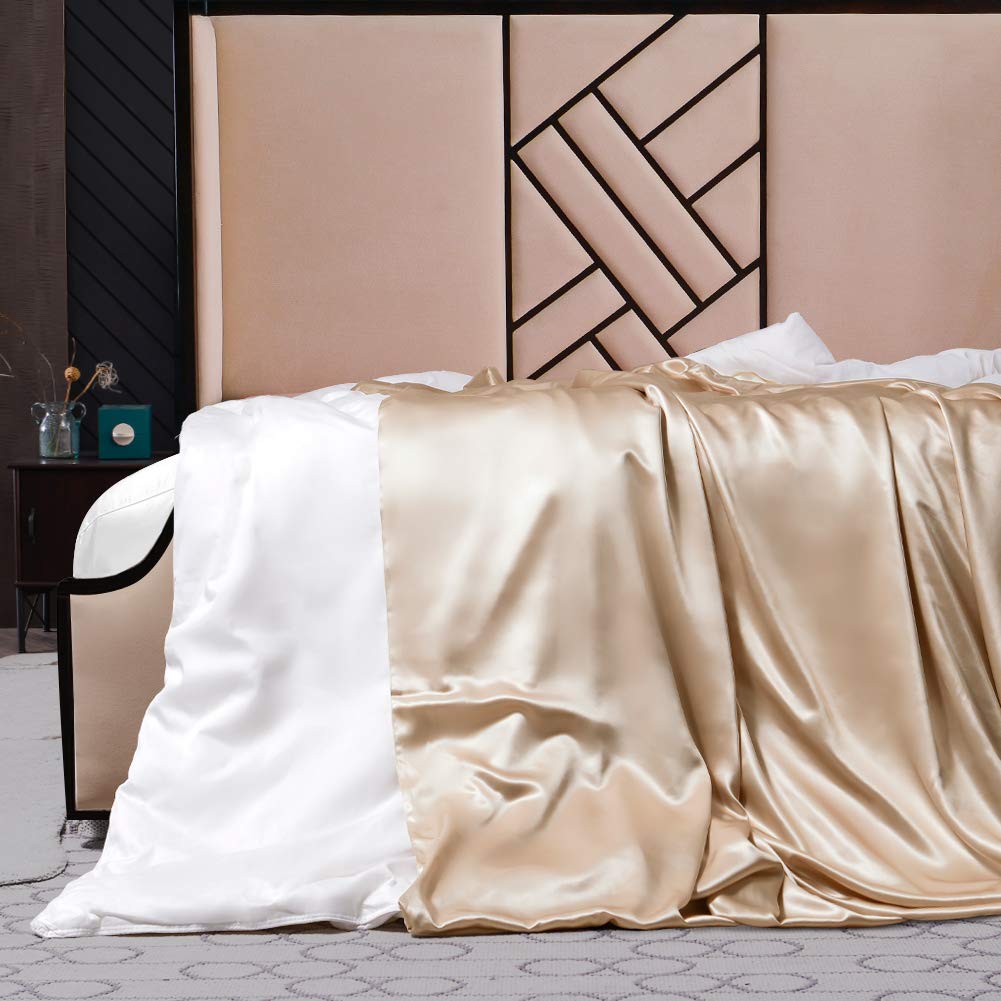 THXSILK Luxury Silk Covered Silk Comforter for Winter, 2in1 100% Silk Removable Duvet Cover Plus 100% Silk Comforter, Twin Size, Champagne