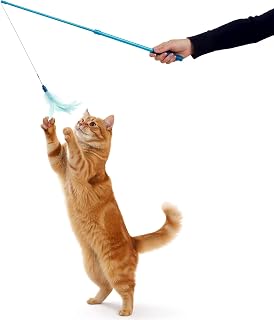 Interactive Cat Toy, Extendable and Retractable Wand with Feathers